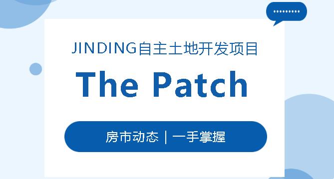 【澳洲·新闻】JINDING自主开发项目｜The Patch中位地价增长，总产量增加