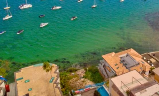  中国富商之子出售悉尼滨海地块，成交价高达$2700万