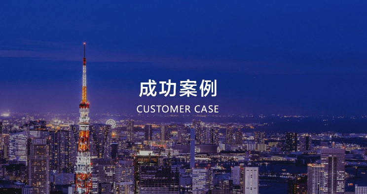 成功案例